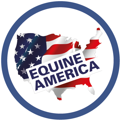 Logo2